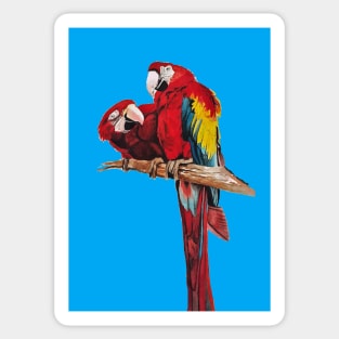 Red Macaw Parrot Watercolor Painting on Blue Sticker